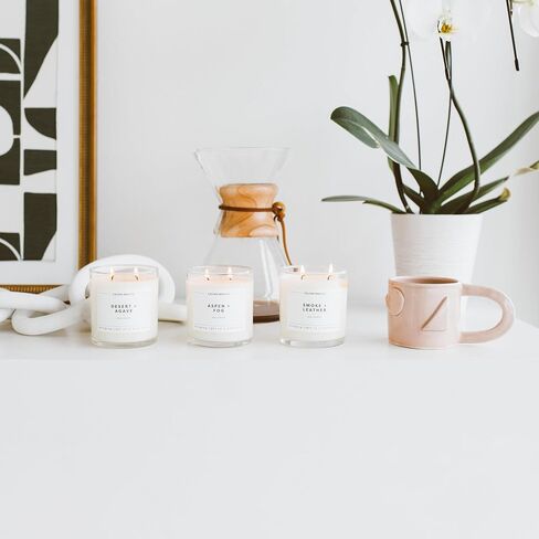 Calyan Wax Co. 2 Wick Candle, Seaside + Citrus Scented Candle, 37 Hour Burn Time, Aromatherapy Soy Candles, Non Toxic & Vegan Soy Wax, Glass Tumbler Scented Candles, 8.8oz in Kuwait