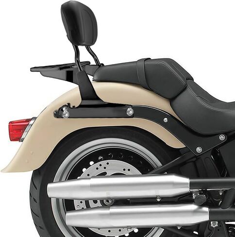 Wsays Passenger Backrest Sissy Bar and Luggage Rack Fit 200mm Fender (Large Pad) Compatible with Harley Softail Fat Boy Night Train Cross Bones Springer Custom 2006-UP Gloss Black in Saudi Arabia