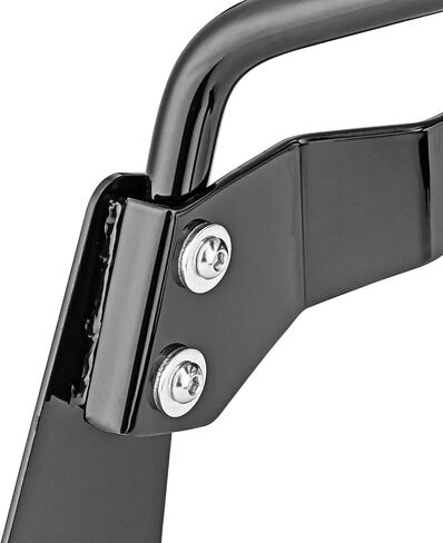 Wsays Passenger Backrest Sissy Bar and Luggage Rack Fit 200mm Fender (Large Pad) Compatible with Harley Softail Fat Boy Night Train Cross Bones Springer Custom 2006-UP Gloss Black in Saudi Arabia