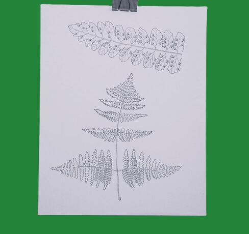 الرسم النباتي في فرن ، القلم الأصلي والحبر الفني ، 8 × 10 بوصات ، غير مؤطر in Saudi Arabia