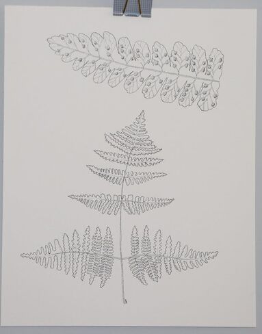 الرسم النباتي في فرن ، القلم الأصلي والحبر الفني ، 8 × 10 بوصات ، غير مؤطر in Saudi Arabia