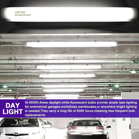 T12 15 Watt Fluorescent Bulb, 18 Inches F15T12/CW Straight Tube, Medium Bi-Pin Base, Cool White 4000K 800 Lumens 4 Count in Kuwait