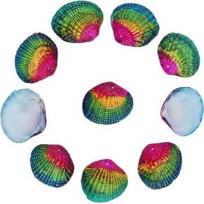 Firstmeet 20pcs Natural Hand Painted Seashells Colorful Dyed Shells Craft Charms for Home Decorations, Beach Themed Party(DIY-1033-Blue)