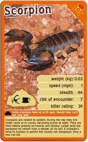 Top Trumps Deadliest Predators Card Game for 3 Years + in Saudi Arabia