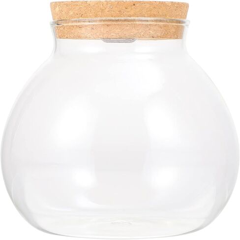 وعاء السمك POPETPOP مع ضوء LED - حوض زجاجي مع غطاء حوض أسماك صغير، مزهرية ذات مناظر طبيعية صغيرة، زجاجة زجاجية ذات مناظر طبيعية، حاويات تررم زجاجية لسطح المكتب للنباتات النضرة in Kuwait