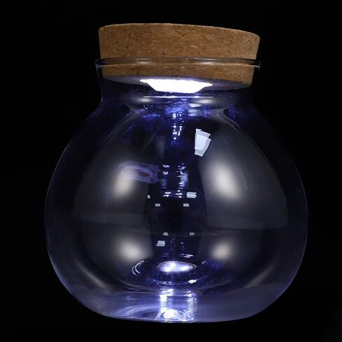 وعاء السمك POPETPOP مع ضوء LED - حوض زجاجي مع غطاء حوض أسماك صغير، مزهرية ذات مناظر طبيعية صغيرة، زجاجة زجاجية ذات مناظر طبيعية، حاويات تررم زجاجية لسطح المكتب للنباتات النضرة in Kuwait