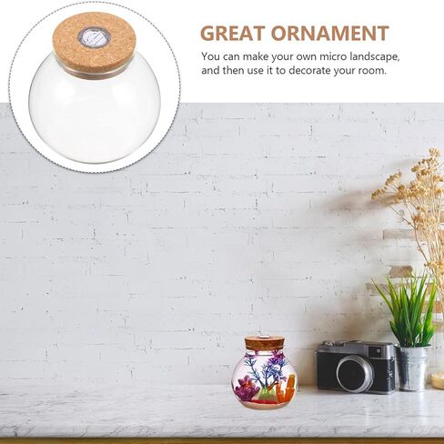 وعاء السمك POPETPOP مع ضوء LED - حوض زجاجي مع غطاء حوض أسماك صغير، مزهرية ذات مناظر طبيعية صغيرة، زجاجة زجاجية ذات مناظر طبيعية، حاويات تررم زجاجية لسطح المكتب للنباتات النضرة in Kuwait