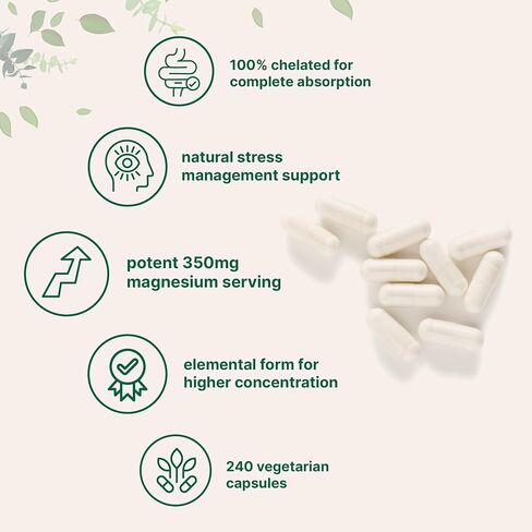 المكونات الدقيقة المغنيسيوم glycinate 350mg لكل وجبة ، 240 كبسولات الخضروات | شكل عنصري قوي ، 100 ٪ مخلوفة ، متاحة للغاية حيوية | العضلات الصحية ، العظام ، وملحق دعم المزاج | غير المعدلة وراثيا in Kuwait