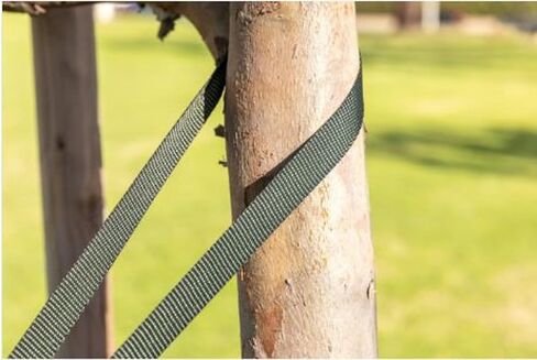 Tree Guy Tree Tie Staking Strap Kit 3 Pack in Saudi Arabia