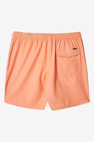 Mens Solid Volley Swim, Cantaloupe, L in Saudi Arabia