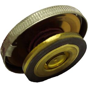 Raparts RW0021-40 CAP CAP - 10 LB (PSI) يناسب 2 11/16 O.D 3/4 بوصة العميقة in Saudi Arabia