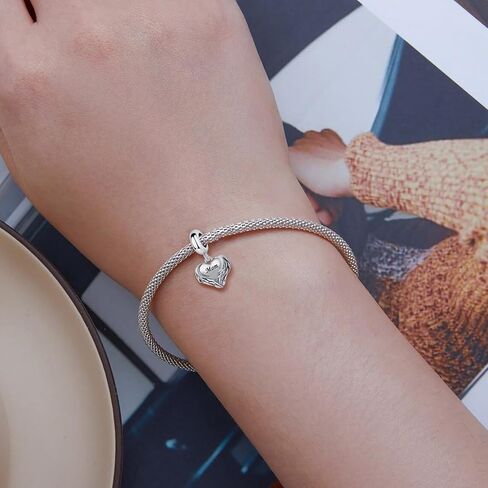 Tchyun Angel Wings Heart Dangle Charm Family Love Series Bead for Europelet Bracelet Women Gift in Saudi Arabia