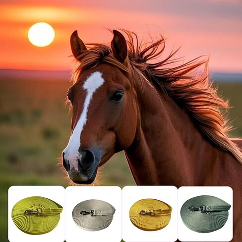 Horse Training Lunge Line with Alloy Trigger Buckle for Accurate Equestrian Training of 32.8 ft(10 Meters)-Light Green in Kuwait