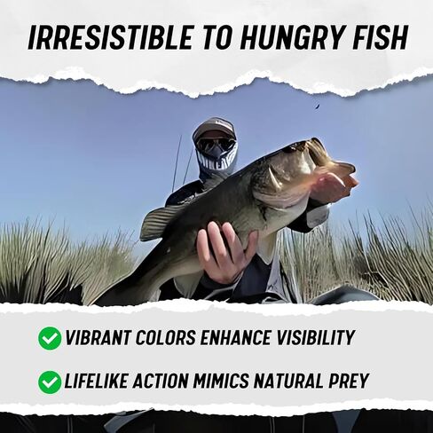 LUNKERHUNT | Mid Water Crankbaits (4-Pack) | Hard Bait Fishing Lures in Kuwait