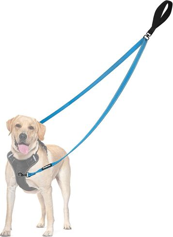 PetBonus Two Point Control Dog Leash, Works with No Pull Harnesses, No Tangle Dog Training Leashes, No Pull Padded and Reflective Walking Lead, Converts to Single Leash for Medium Large Dogs in Saudi Arabia