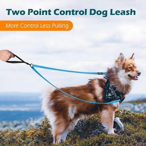 PetBonus Two Point Control Dog Leash, Works with No Pull Harnesses, No Tangle Dog Training Leashes, No Pull Padded and Reflective Walking Lead, Converts to Single Leash for Medium Large Dogs in Saudi Arabia