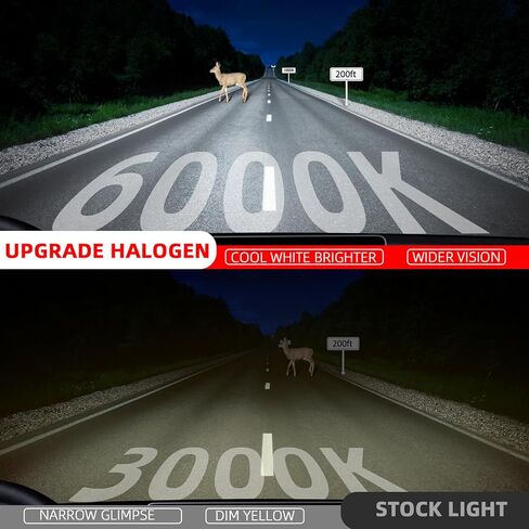 Upgraded Halogen Headlight Bulbs Fit For Nissan Murano 2009-2014,9005/H10/HB3 High Beam H11/H8/H9 Low Beam High Performance Headlights,6000K White,Plug n Play,4-Pack in Kuwait