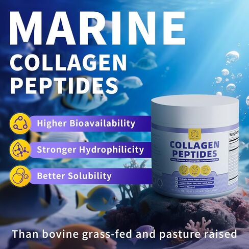 ببتيدات الكولاجين* مسحوق للنساء ، وإصلاح الليل ، ودعم الجلد ، والشعر ، والأظافر ، والمكملات الكولاجين البحرية مع النوع الأول من النوع الأول ، وتيسانين ، وآشواغاندا ، والفطر ، ونكهة الحامض ، 450 جرام/16 أوقية in Kuwait