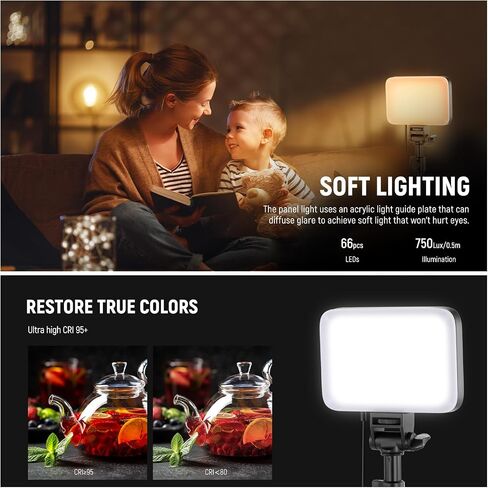 NEEWER Basic LED Video Light Panel Lighting Kit, 2 Pack Bi Color Dimmable Portable Studio Lights with Stands & Filters, 3200K~5600K CRI 95 750lux for Photography Video Recording Live Streaming, BP66 in Saudi Arabia