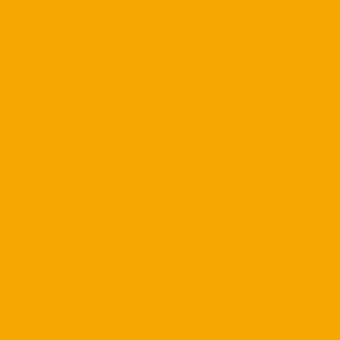 R&E Paint Supply متوافق مع BMW B21 ، Atacama Yellow Automotive Paint ، 8oz in Saudi Arabia