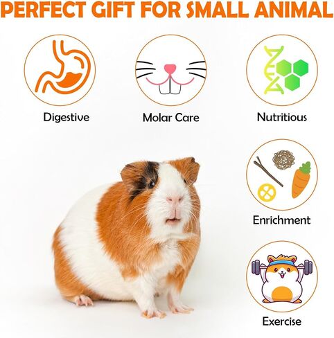 Sofier 18pcs Timothy Hay Treats Rabbit Toys Natural Treats for Guinea Pig Bunny Hamster Chinchilla Rat Handmade Rabbit Chews for Teeth in Kuwait