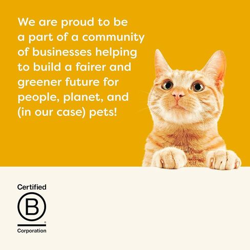 Applaws Natural Wet Cat Food, 24 Count, Limited Ingredient Canned Wet Cat Food, Chicken Breast & Tuna Fillet in Broth, 5.5oz Cans in Kuwait