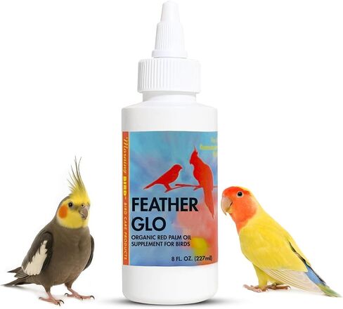 Morning Bird Feather-Glo, 4 oz in Kuwait