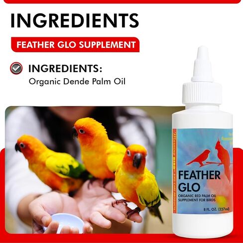 Morning Bird Feather-Glo, 4 oz in Kuwait