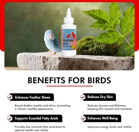 Morning Bird Feather-Glo, 4 oz in Kuwait