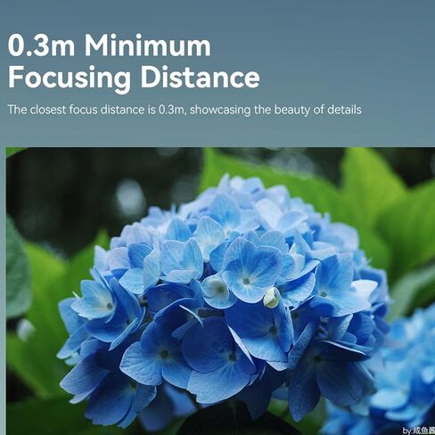 7artisans AF 27mm F2.8 STM Large Aperture APS-C Portrait Camera Lens for Sony E-Mount A7 A7R A7S A7II A7RII A7III A7RIII A9 A6300 A6500 RX10 RX100 Cameras in Saudi Arabia