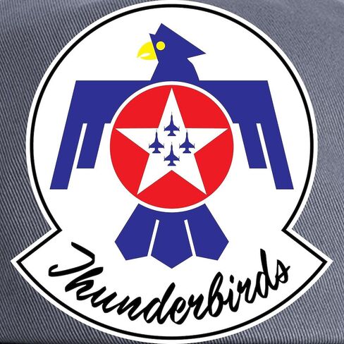Cafepress 66 Thunderbird Emblem Cap Cap القابلة للتعديل in Kuwait