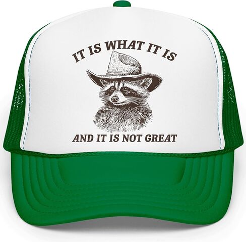 هذا هو ما هو سائق الشاحنة قبعة الراكون الرسم الكبار الرغوة الأمامية الكلاسيكية 5 لوحة الشبكة Snapback in Kuwait