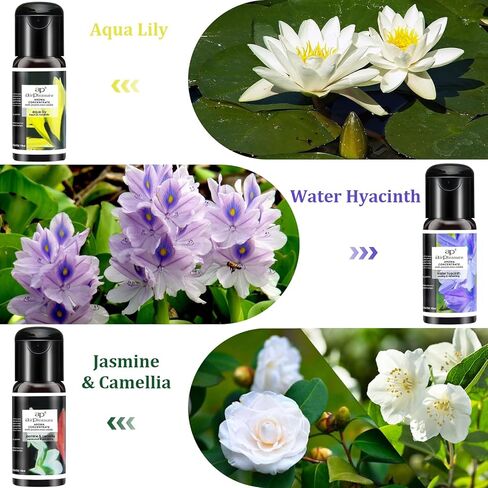 مجموعة هدايا الزيوت العطرية من الزيوت العطرية متعددة الوظائف لموزع الروائح العلاجية، مرطب الهواء، منعش، زيوت عطرية طبيعية، 6 زجاجات، 15 مل in Kuwait