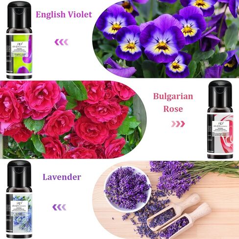 مجموعة هدايا الزيوت العطرية من الزيوت العطرية متعددة الوظائف لموزع الروائح العلاجية، مرطب الهواء، منعش، زيوت عطرية طبيعية، 6 زجاجات، 15 مل in Kuwait