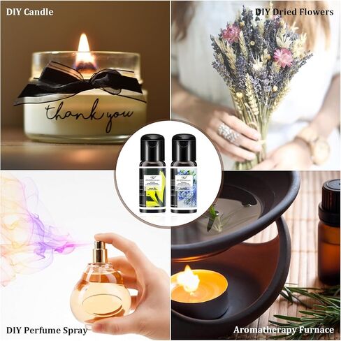 مجموعة هدايا الزيوت العطرية من الزيوت العطرية متعددة الوظائف لموزع الروائح العلاجية، مرطب الهواء، منعش، زيوت عطرية طبيعية، 6 زجاجات، 15 مل in Kuwait