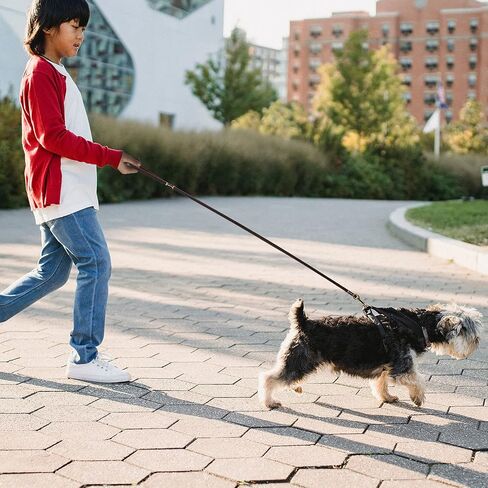 5ft Leather Dog Leash, Strong and Durable Leather Waterproof Dog Leash, Ideal for Training, Walking and Camping with Your pet Dog. in Saudi Arabia