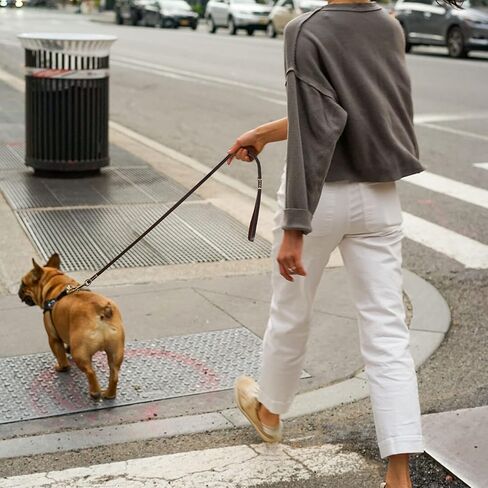 5ft Leather Dog Leash, Strong and Durable Leather Waterproof Dog Leash, Ideal for Training, Walking and Camping with Your pet Dog. in Saudi Arabia