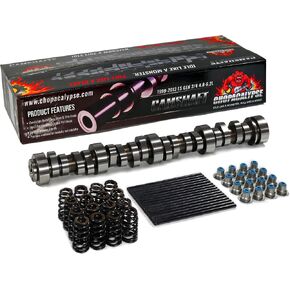 LS Truck Cam Kit – Aggressive Performance Camshaft for Chevy/GMC 4.8L 5.3L 6.0L 6.2L LS Vortec V8 (1999-2013), Includes Beehive Springs, Seals, Pushrods in Saudi Arabia