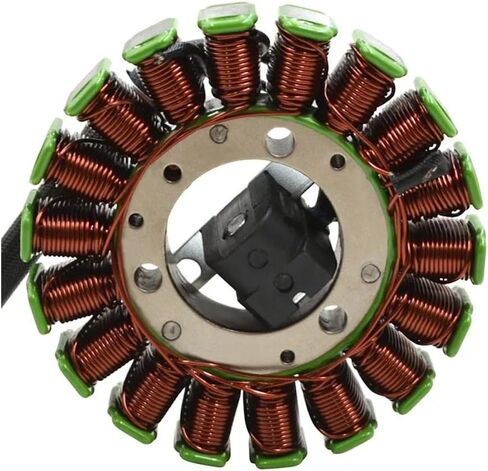 Motorcycle Generator Stator Coil For YMH TTR250 TT-R250 1999-2006 TT250R RAID TT-R 1993-2004 4GY-81410-01-00 4GY-81410-02-00 Parts in Saudi Arabia