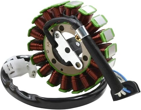 Motorcycle Generator Stator Coil For YMH TTR250 TT-R250 1999-2006 TT250R RAID TT-R 1993-2004 4GY-81410-01-00 4GY-81410-02-00 Parts in Saudi Arabia