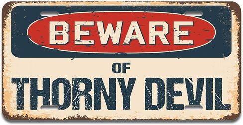 SignMission Beware of Tasmanian Devil Aluminum License Plate | License Plate 12" X 6" Fits Any Car, Truck, SUV, RV, or Trailer | Made in The USA in Saudi Arabia