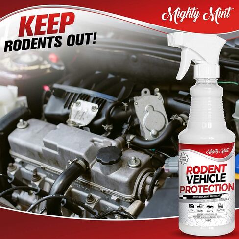 Mighty Mint Gallon (128 oz) Rodent Repellent Spray for Vehicle Engines and Interiors - Cars, Trucks, RVs, & Boats in Saudi Arabia