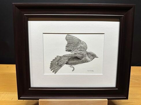 Sparrow Bird Graphite Pencil Art Sketch رسم طباعة صورة محدودة بعنوان "Flight of the Sparrow" بقلم David Allen (11x14 Frame & Print) in Kuwait