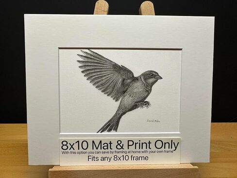 Sparrow Bird Graphite Art Art Sketch رسم طباعة صورة محدودة بعنوان "Sparrow Landing" بقلم David Allen (8x10 Frame & Print) in Kuwait