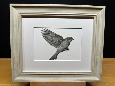 Sparrow Bird Graphite Art Art Sketch رسم طباعة صورة محدودة بعنوان "Sparrow Landing" بقلم David Allen (8x10 Frame & Print) in Kuwait