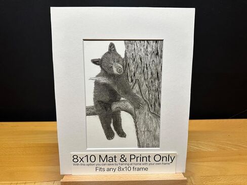Black Bear Baby Cub Nature Wildlife Graphite Pencil Art Sketch Drawing Print Picture Limited Edition ~ بعنوان "Tree Hugger" بقلم David Allen (8x10 Mat & Print Only) in Saudi Arabia