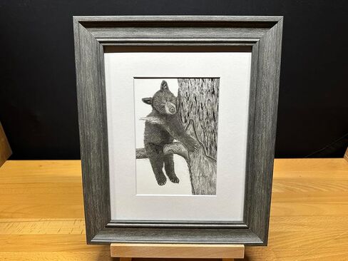 Black Bear Baby Cub Nature Wildlife Graphite Pencil Art Sketch Drawing Print Picture Limited Edition ~ بعنوان "Tree Hugger" بقلم David Allen (8x10 Mat & Print Only) in Saudi Arabia