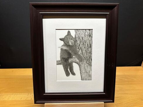 Black Bear Baby Cub Nature Wildlife Graphite Pencil Art Sketch Drawing Print Picture Limited Edition ~ بعنوان "Tree Hugger" بقلم David Allen (8x10 Mat & Print Only) in Saudi Arabia