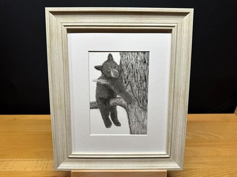 Black Bear Baby Cub Nature Wildlife Graphite Pencil Art Sketch Drawing Print Picture Limited Edition ~ بعنوان "Tree Hugger" بقلم David Allen (8x10 Mat & Print Only) in Saudi Arabia