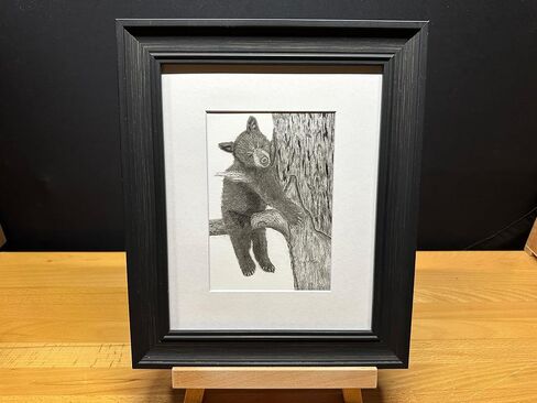 Black Bear Baby Cub Nature Wildlife Graphite Pencil Art Sketch Drawing Print Picture Limited Edition ~ بعنوان "Tree Hugger" بقلم David Allen (8x10 Mat & Print Only) in Saudi Arabia